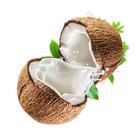 Coconut water processing machine automatic industrial tender coconut water processing plant