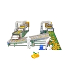 Automatic Mango Processing Line Juice Machine Industrial Commercial