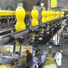 380V 50Hz Pineapple Production Line Pineapple Juice Processing Machine