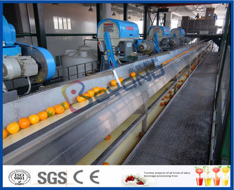 Fruit Juice Processing Equipment With Citrus / Tangerines / Orange Juice Extractor Machine