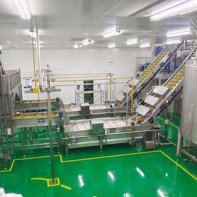 Fresh Pineapple / Mango Juice Processing Plant With Can Packaging Machine